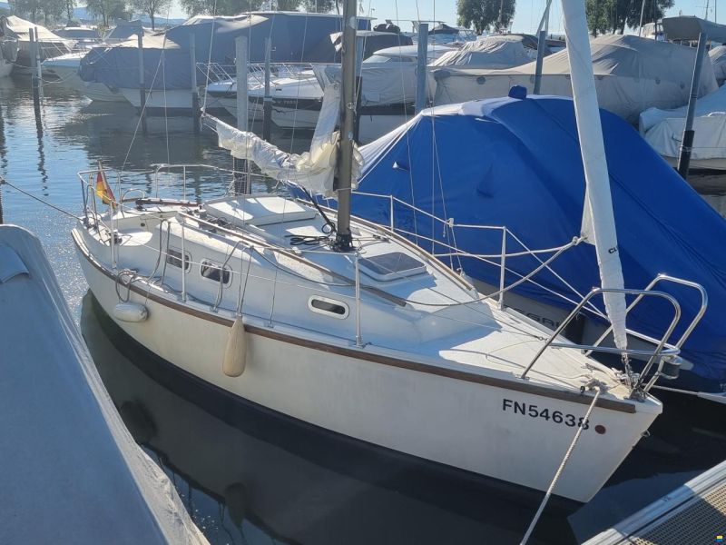 Nautica 24