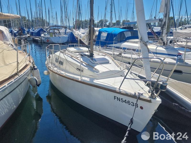 Nautica 24