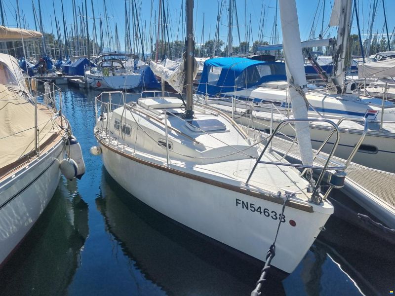 Nautica 24