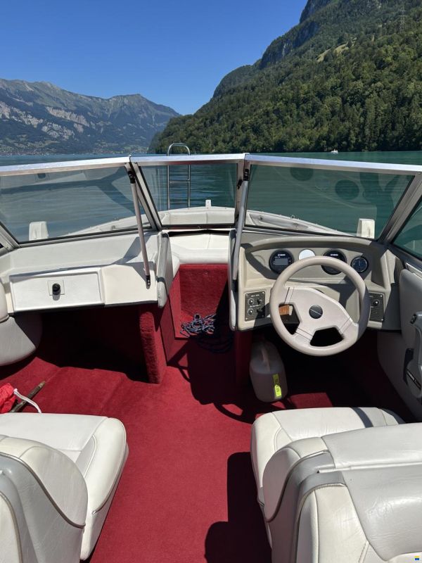 Campion Allante 485