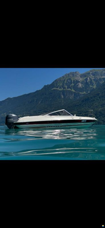 Campion Allante 485