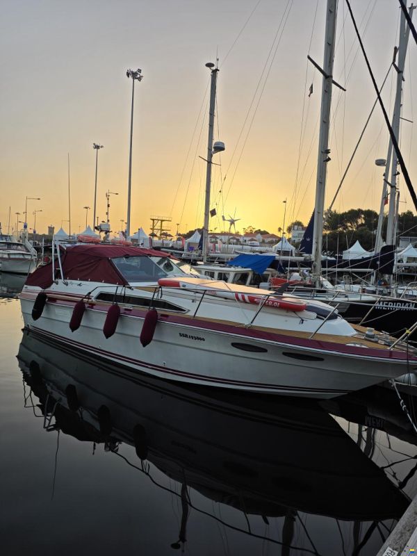 Sea Ray 340