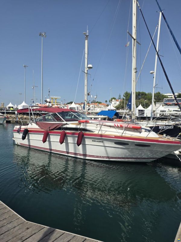 Sea Ray 340