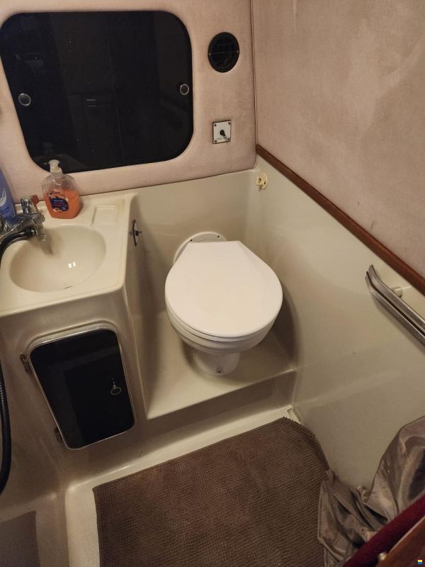 Sea Ray 340