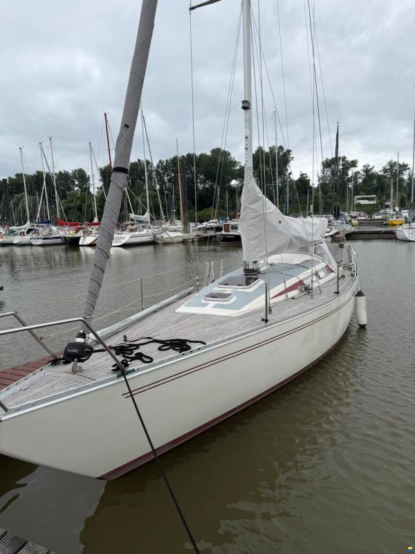 Luffe 37