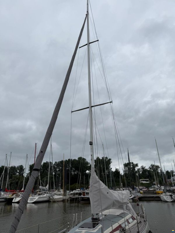 Luffe 37