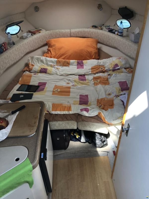 Larson Cabrio 274