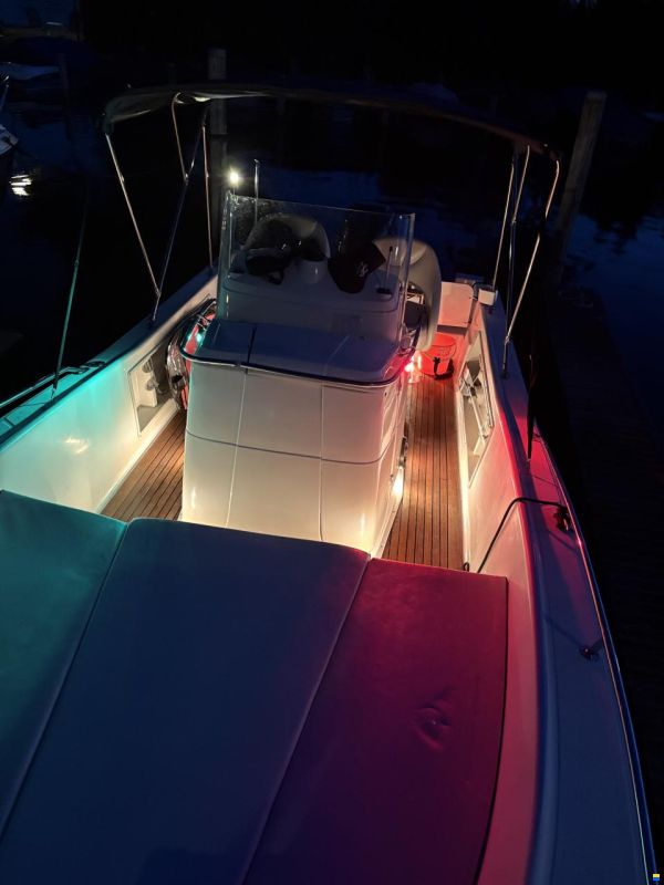 White Shark 225