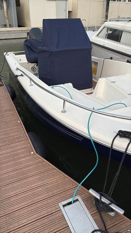 White Shark 225
