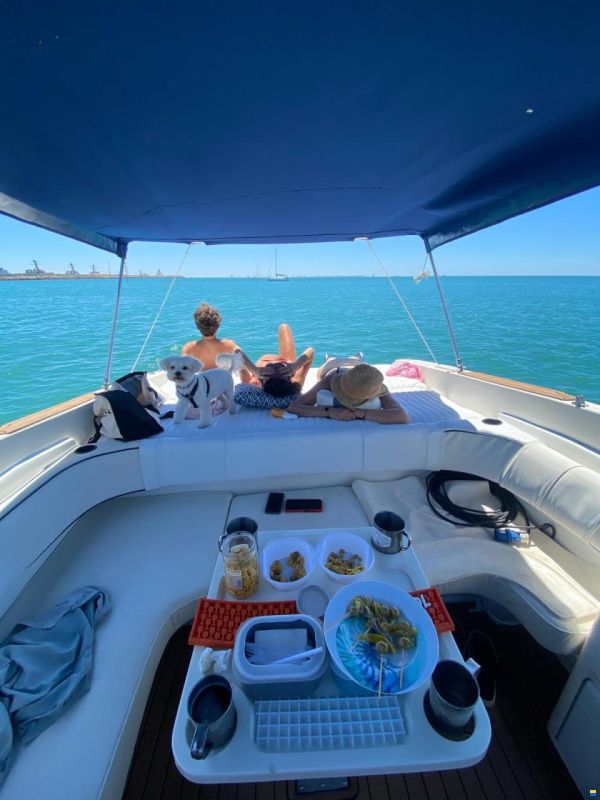 Sea Ray 280 Sun Sport