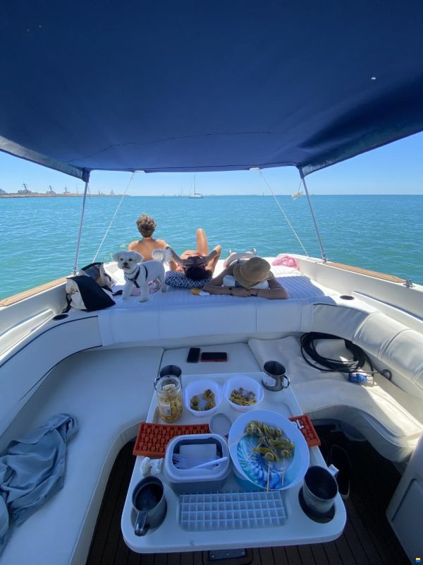 Sea Ray 280 Sun Sport