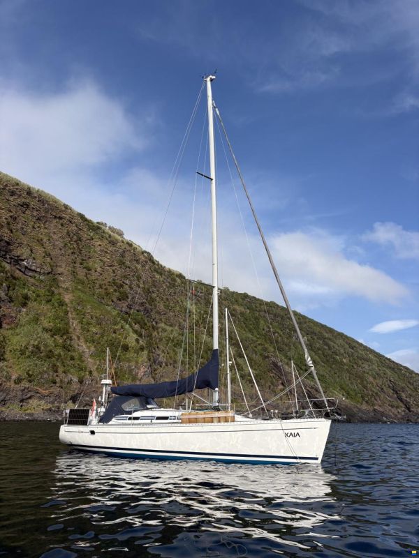 Elan 40