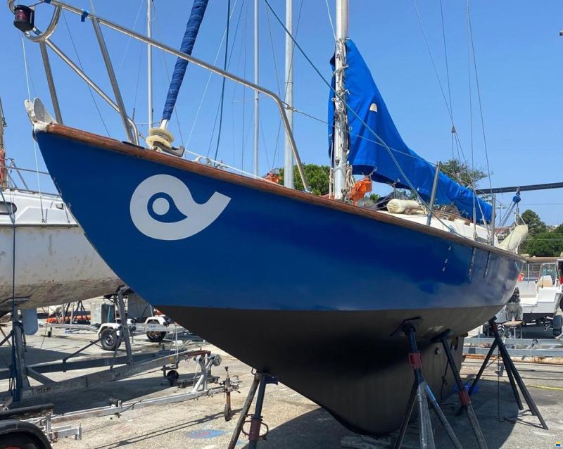 25