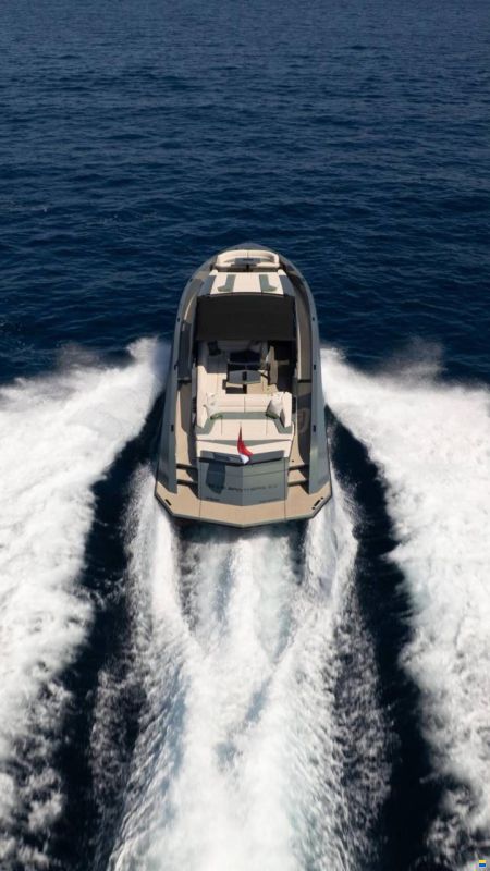 Vanquish 54