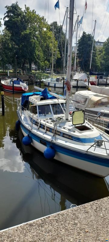 Møn 830