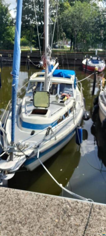Møn 830