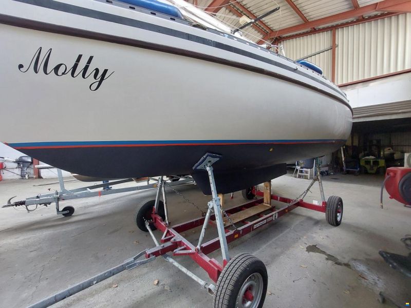 Neptun 25