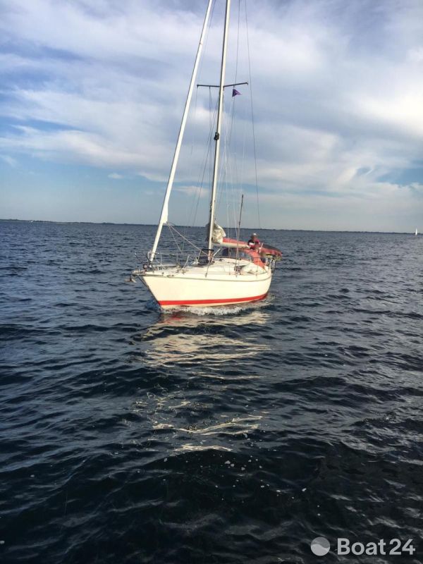 Star Boat B31 Mark 2