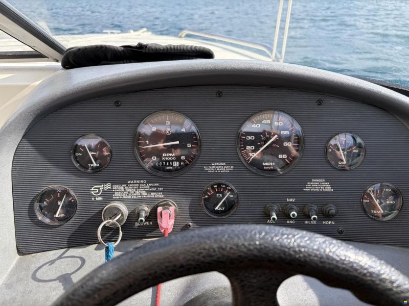Stingray 558 ZPX