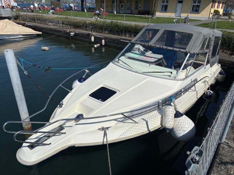 Polar 290 Monaco