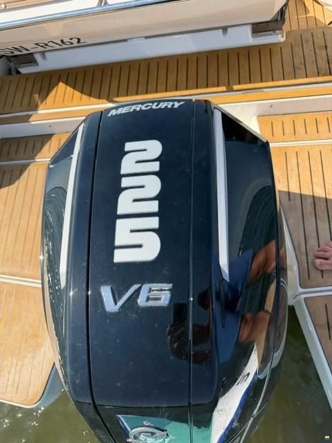 Quicksilver Activ 755 Cruiser