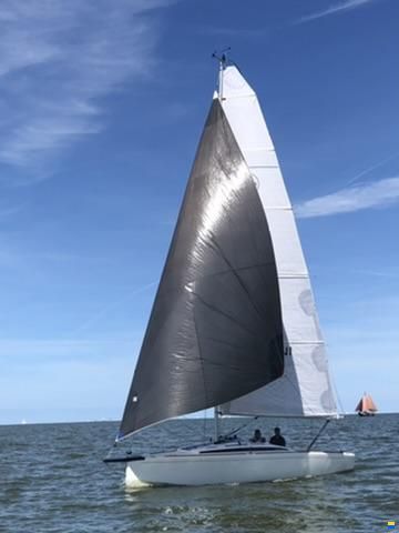 Domani S30