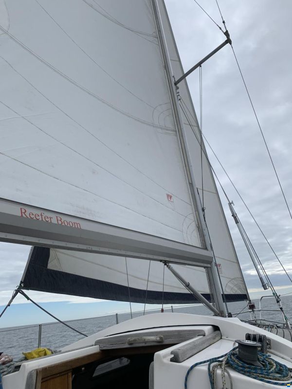 Pegazus 969