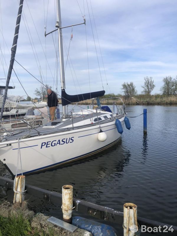 Pegazus 969