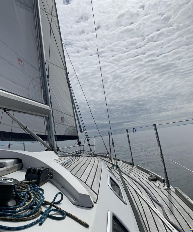 Pegazus 969