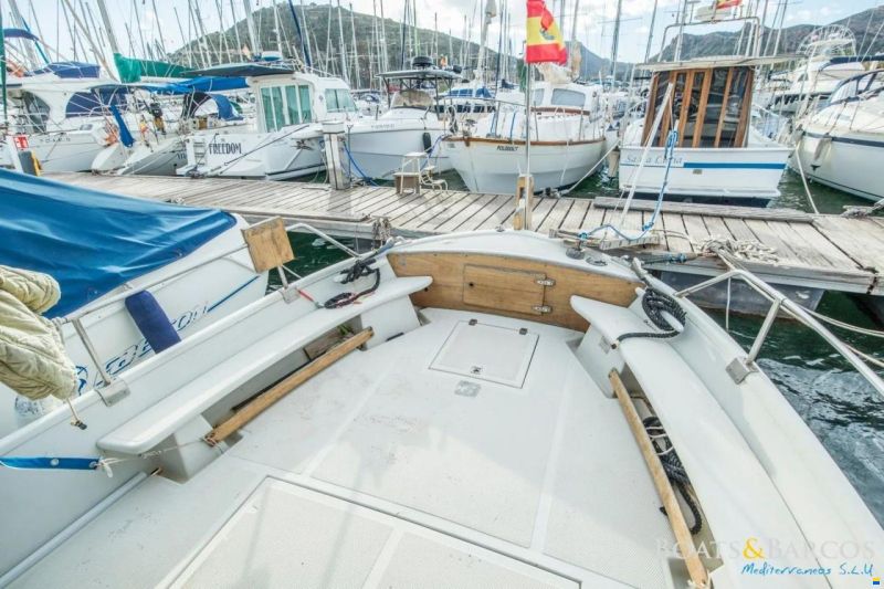 Copino llaud 44