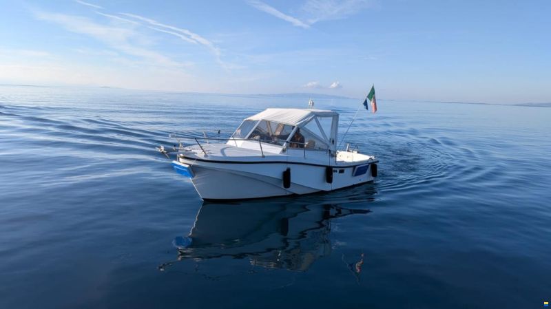 Mare Zeta Phoenix 21