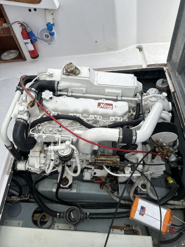 Mare Zeta Phoenix 21