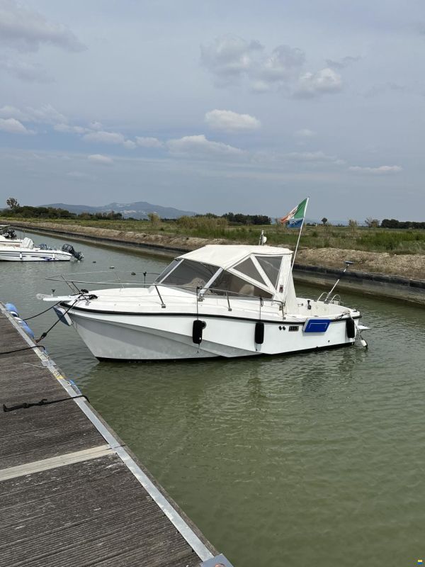 Mare Zeta Phoenix 21