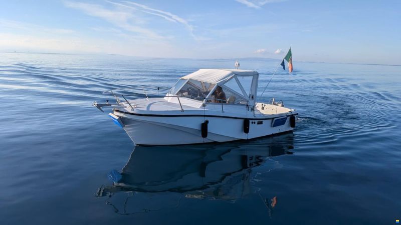 Mare Zeta Phoenix 21