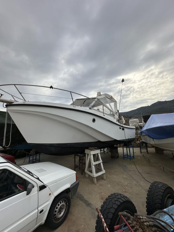 Mare Zeta Phoenix 21