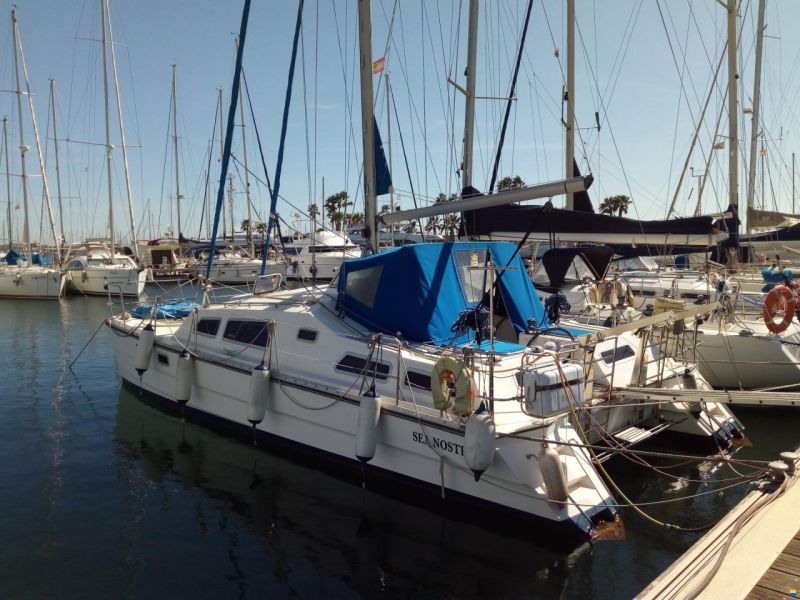 Solaris Sunrice 36