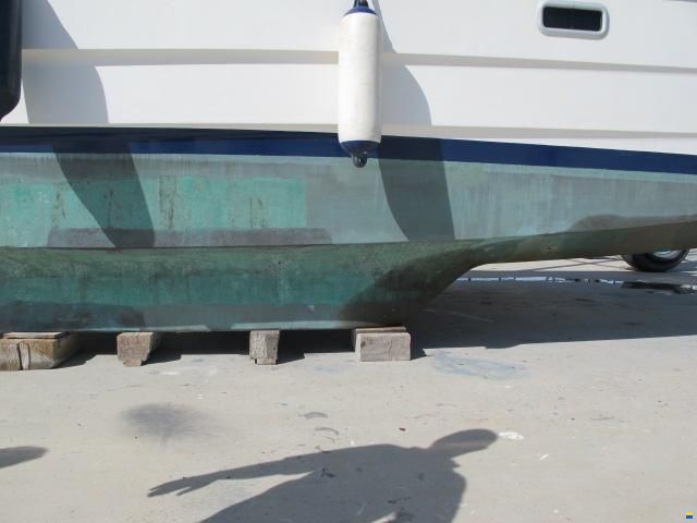 Solaris Sunrice 36