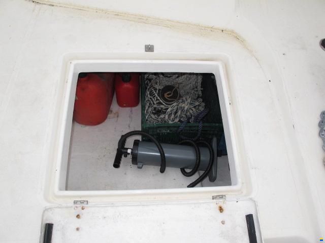 Solaris Sunrice 36