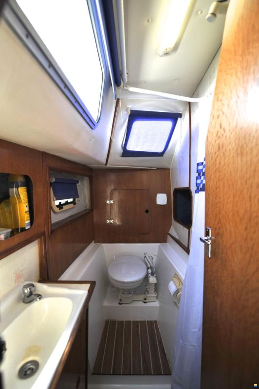 Solaris Sunrice 36