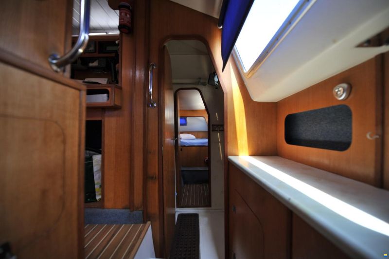 Solaris Sunrice 36
