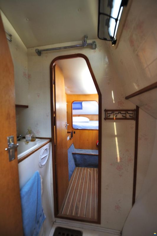 Solaris Sunrice 36