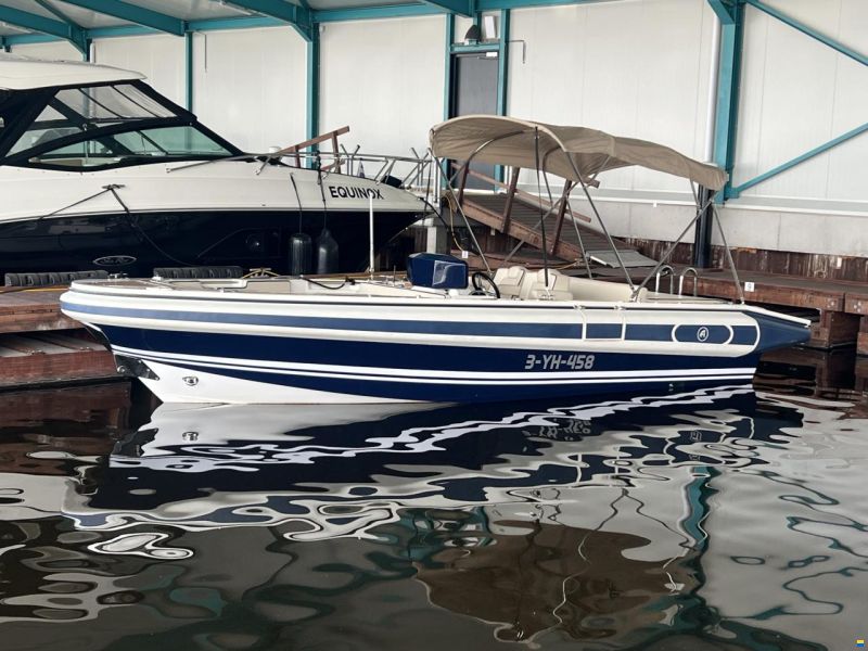 Novurania Chase 23