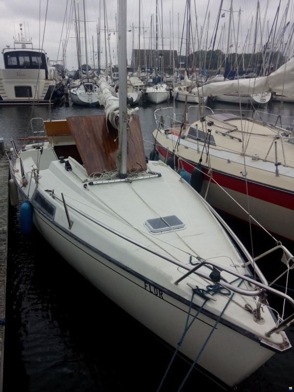 Dufour T7