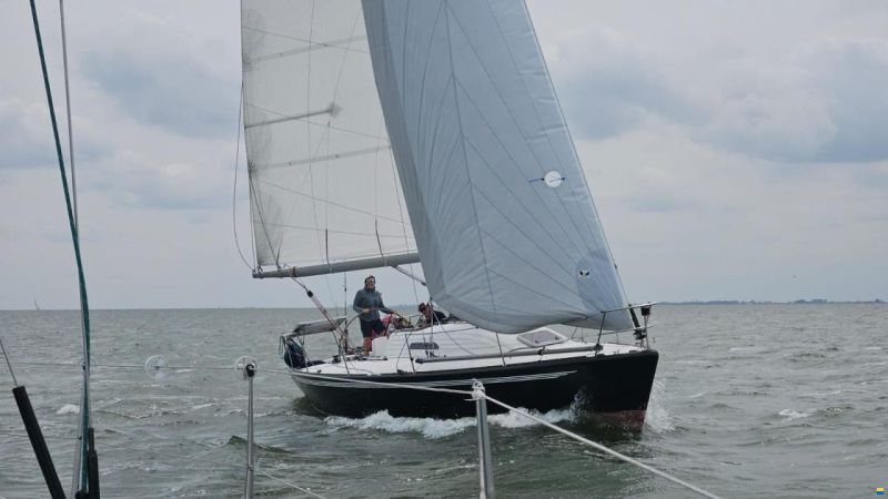 IMX38