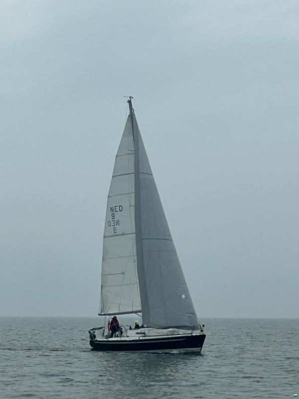 IMX38