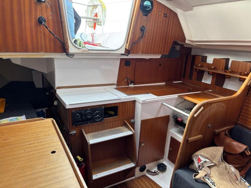 Mallard 9m