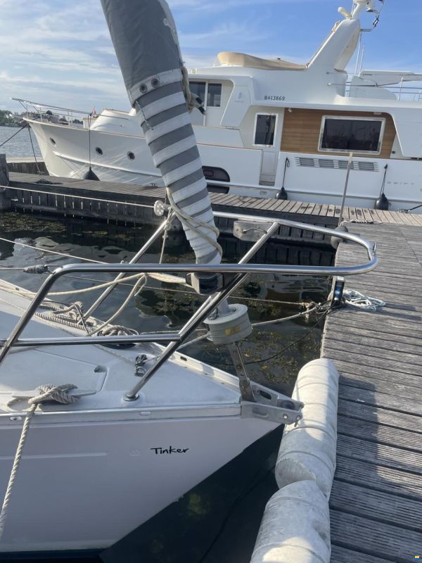 Mallard 9m