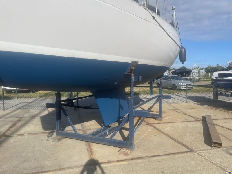 Mallard 9m