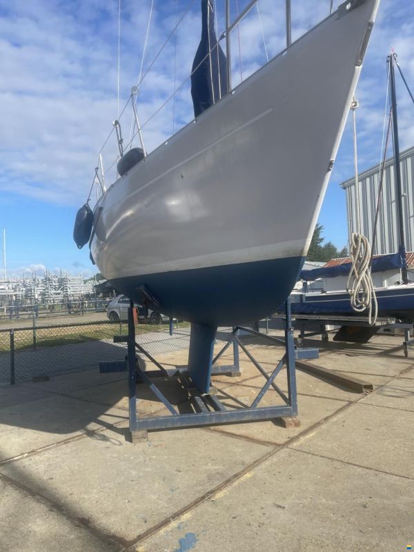 Mallard 9m