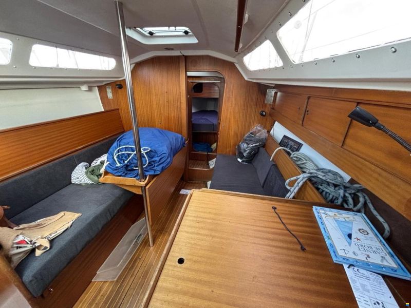 Mallard 9m
